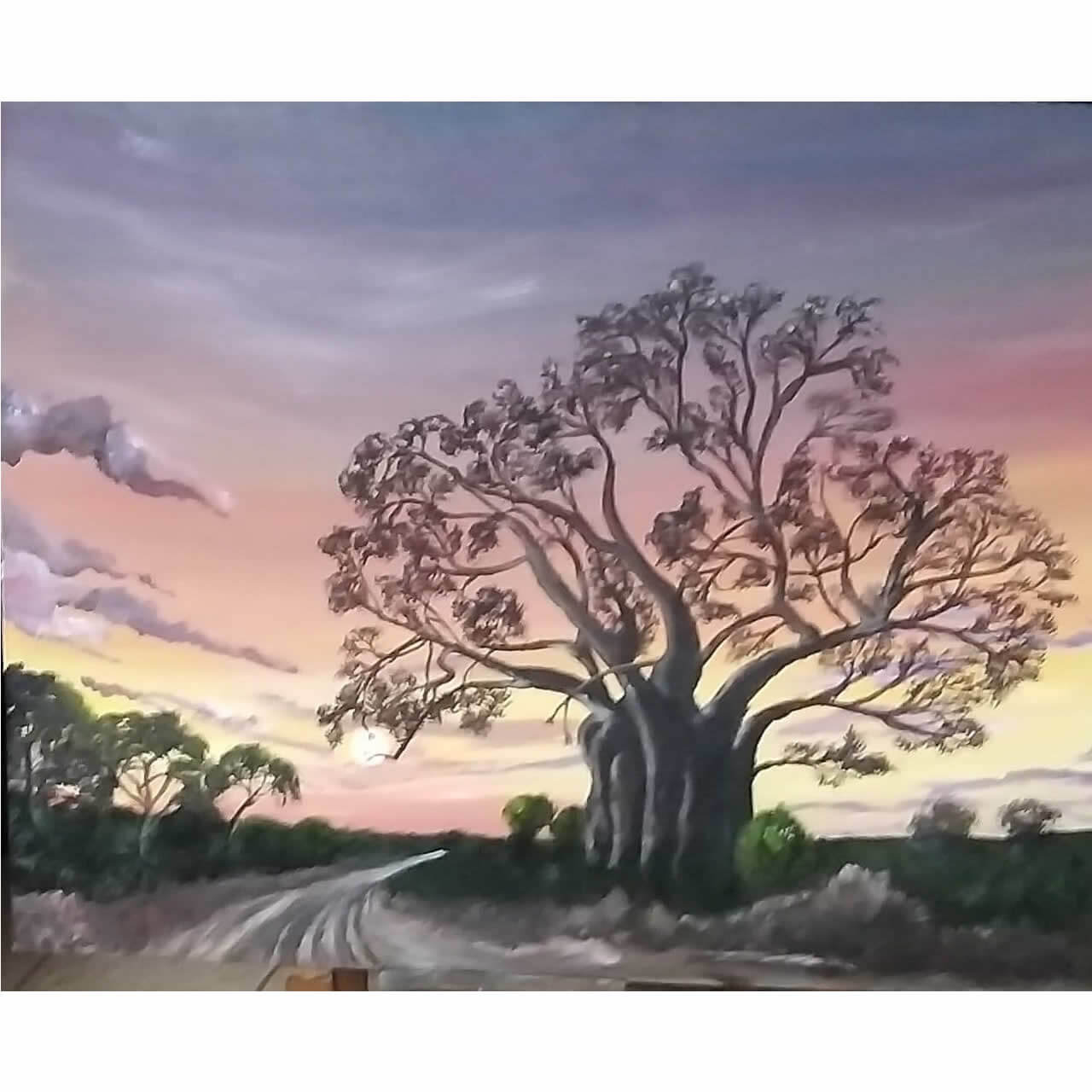 baobab tree sunset